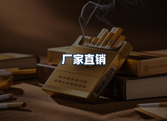 专业团队办公环境